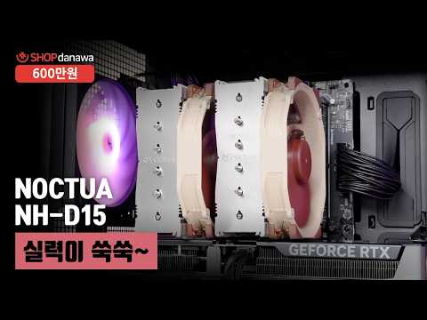 �üҴ� NEW FOCUS V4 GX-850 GOLD Ǯ��ⷯ ATX3.1