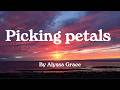 Picking Petals Alyssa Grace Lyrics Video