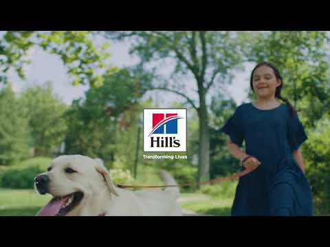 Hill's Prescription Diet: Clinical Therapeutic Dog Food