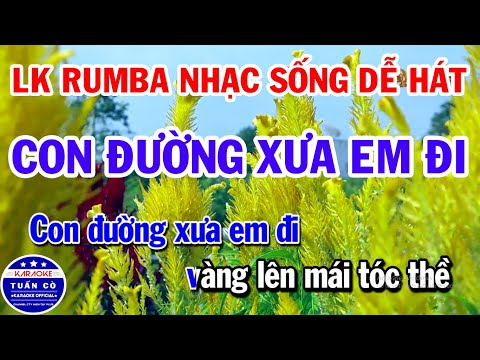 Karaoke Liên Khúc Nhạc Sống Rumba Tone Nam Hay | Con Đường Xưa Em Đi | Phố Đêm