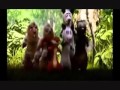 FernGully The Last Rainforest Dragon Rockz Style Part 4 The Web Of Life