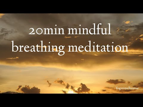 20min mindful breathing meditation | relaxation | stress relief