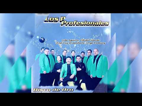 "MIX DORADA" Super Combo LOS PROFESIONALES de Zea, Mérida-Venezuela