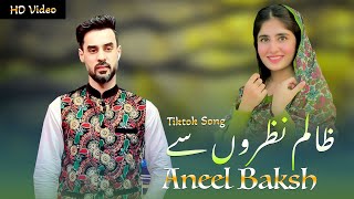 Anil Bakhsh Pashto Songs 2022  Yam Laka Majnoon  P