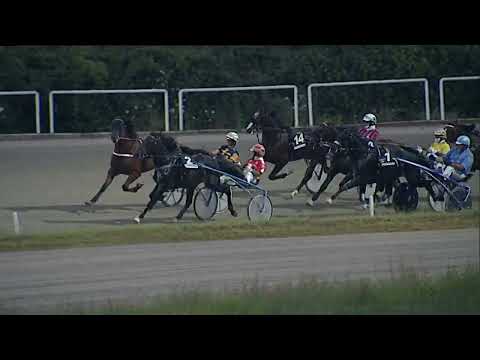 Napoli Trotto 14/07/2023 - 3ª corsa