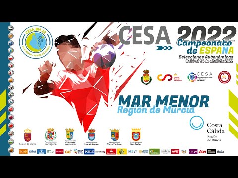 CAMPEONATO DE ESPAÑA INFANTIL FEMENINO ANDALUCIA-C.L.M.