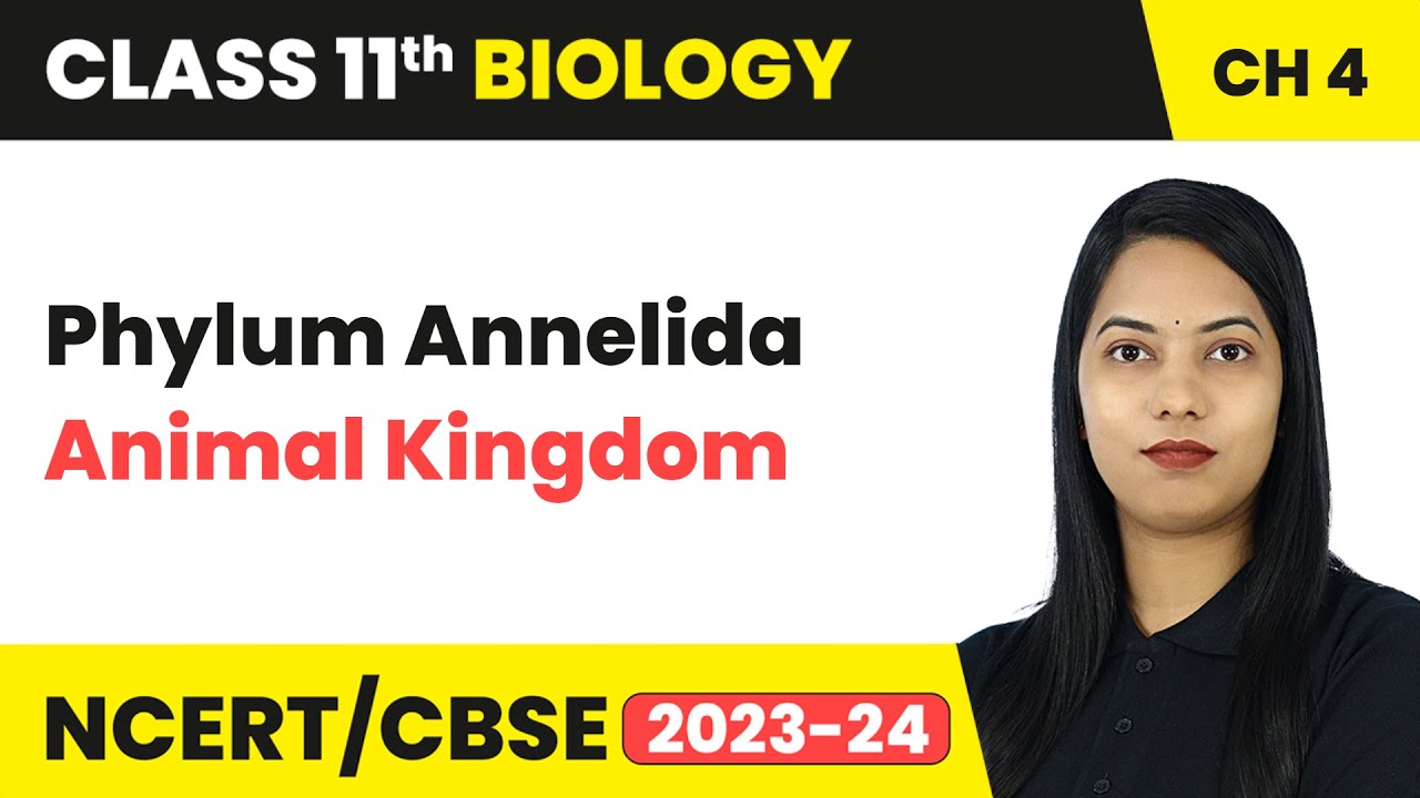 Phylum Annelida - Animal Kingdom | Class 11 Biology Chapter 4 | CBSE 2024-25