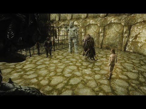 Ebony Warrior,Tsun,Lurker,Seeker,Giant | Skyrim Free For All