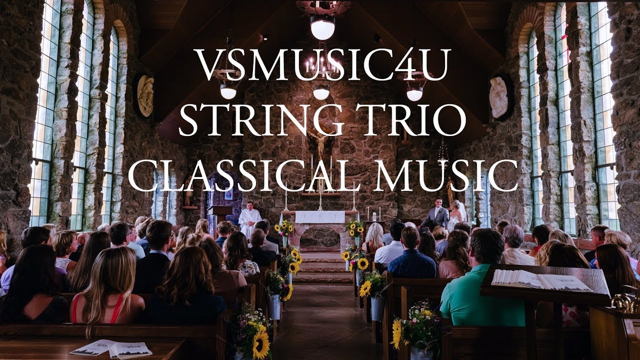 Promotional video thumbnail 19 for VSmusic4u Wedding & Event Musicians
