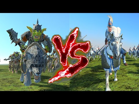 Hobgoblin Wolf Raiders VS Ellyrian Reavers. Total War Warhammer 3