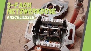 Das solltest du beachten: 2 fach Netzwerkdose anschließen - Duplex Anschlussdose auflegen