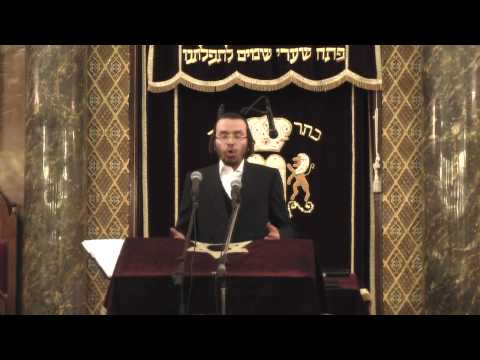 Cantorial Concert: Yaakov Yosef Stark Singing "Misratze Berachamim" (Watch in HD !!!) 16