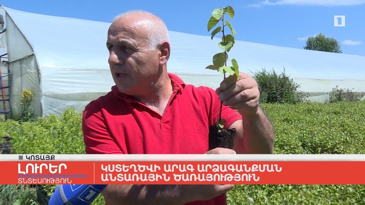 Կստեղծվի արագ արձագանքման անտառային ծառայություն