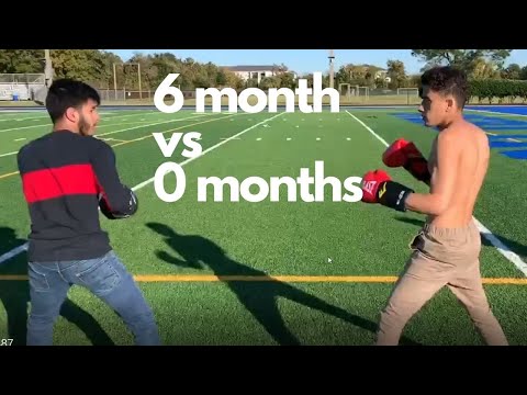 6 months of boxing training vs no boxing training
