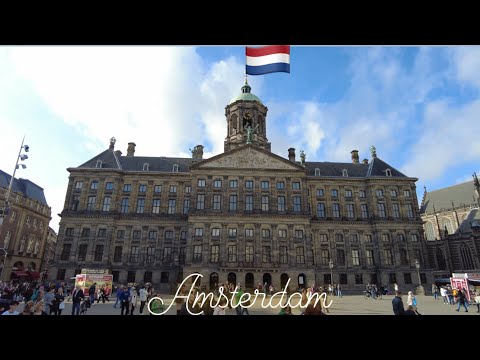 The "Before You Go" Amsterdam Tour! 2022 Tram Ride Revealed