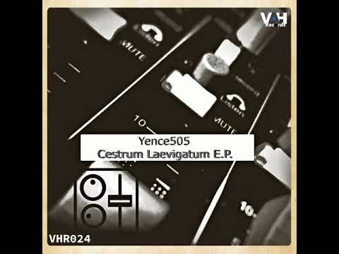 Yence505: Cestrum Laevigatum