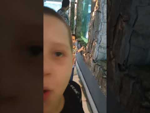 Passei com o Caçulinha no Cigs