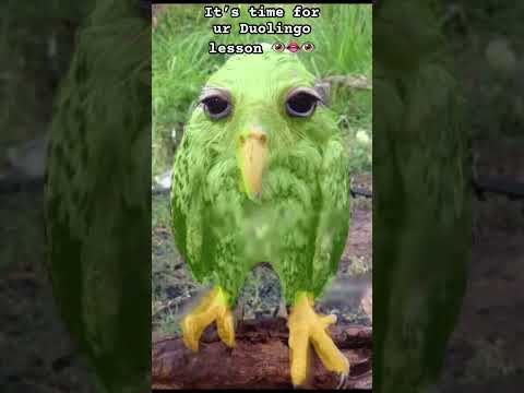 Spanish or Vanish 👁️👄👁️#duolingo