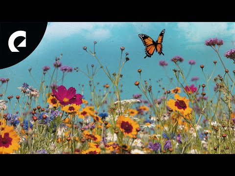 Phello - Spaces (Royalty Free Music)