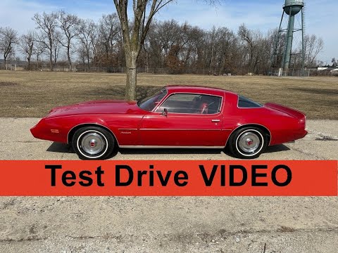 1981 Pontiac Firebird (CC-1961370) for sale in Shelby Township, Michigan