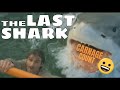 The Last Shark AKA Last Jaws AKA Great White 1981 Carnage Count