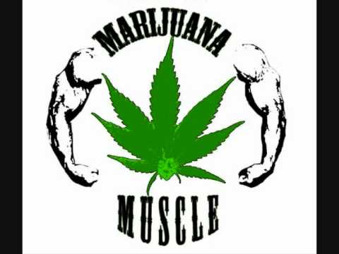 Hardstylez - Bass attack - Hardstyle - Nustyle