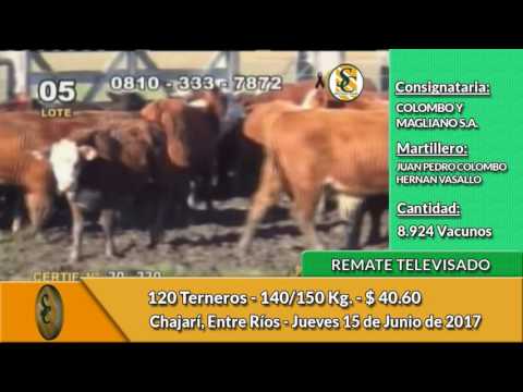 15-06-17-  Remate Televisado de Colombo y Magliano - Chajari, Entre Ríos