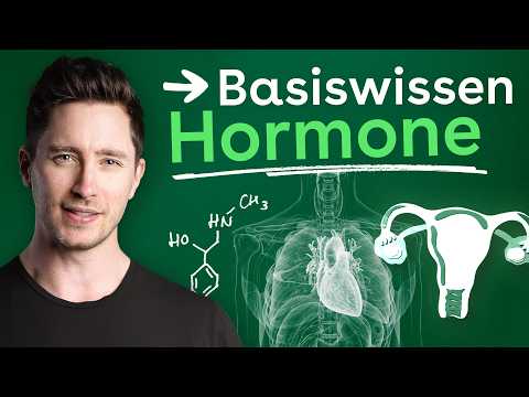 Hormone einfach erklärt: Funktionen, Bildung & Einfluss auf deine Gesundheit