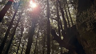 The Power of Your Soul Essence