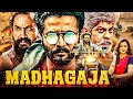Madhagaja 2025 South Indian Hindi Dubbed Action Movie Srii Murali Blockbuster Ashika Ranganath