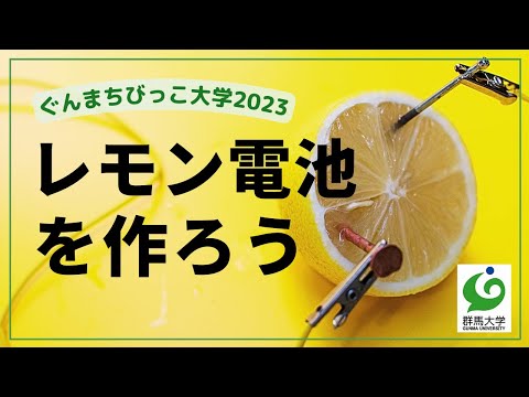 15　レモン電池を作ろう
