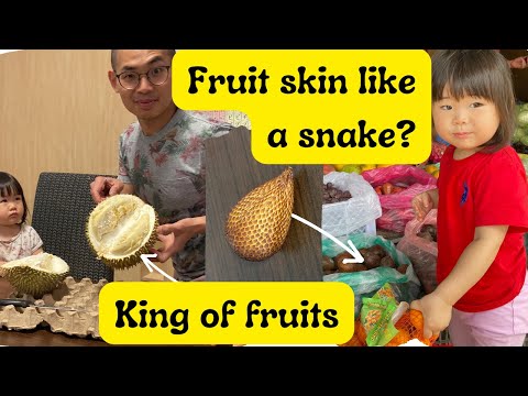 Trying new tropical fruits in Malaysia - Durian and snake skin fruit | Episode 10 #fruits #sarawak