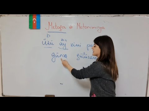 Bədii təsvir vasitələri 2 - Metafor və Metonimiya / #Ədəbiyyat #nəzəriyyəsi