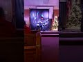 Silent Night by Mannheim Steamroller | Live from "A One of A Kind Christmas"
