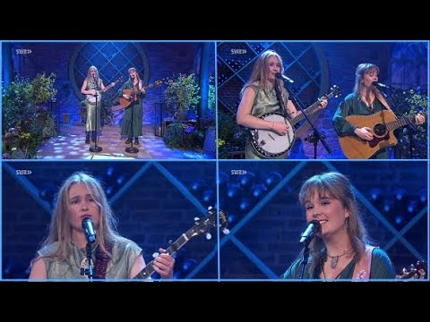 The Woodgies ~The Boxer~