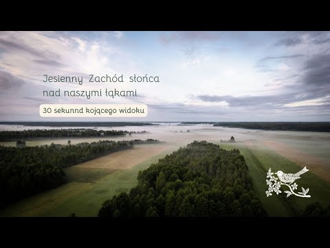 Jesienny zachód słońca nad naszymi łąkami - 30 sekund kojącego widoku.