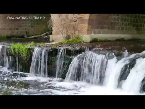 4K(30fps)Beautiful SPRING RELAXATION