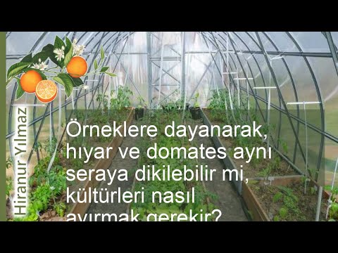 , title : 'Biber ve domates aynı serada yetiştirilebilir mi, bitkiler nasıl ayrılır'