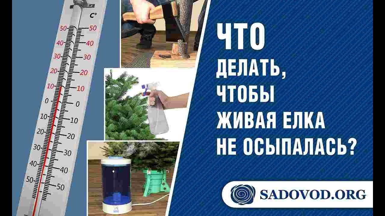 Как Сделать Чтоб Фото