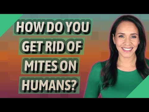 How do you get rid of mites on humans?