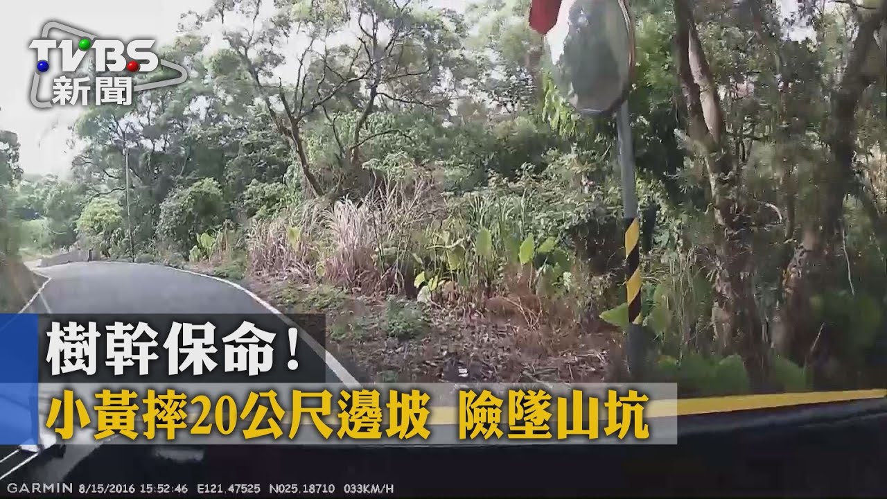 樹幹保命！小黃摔20公尺邊坡　險墜山坑