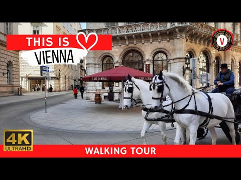 Caminhando em Viena 🇦🇹 1º Distrito: Prefeitura, Hofburg, Volksgarten (4K 60FPS) #ExploreAustria