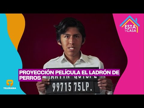 Proyección película: El ladrón de perros