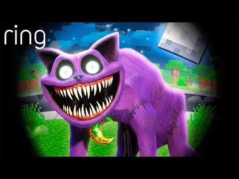 CATNAP IS AT MY DOOR…