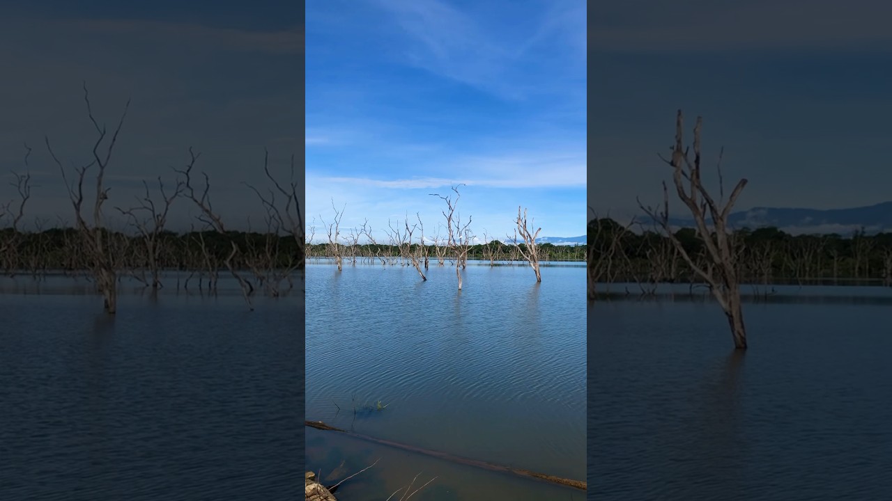 YouTube Short thumbnail