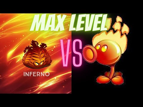 Level 200 |INFERNO| VS Level 200 |FIRE PEASHOOTER|. P v Z 2 Which is Best? @8bpwitharqum