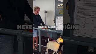 Neden Böyle Bir Oyun Makinesi Var?
