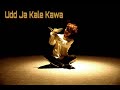 Udd Ja Kaale Kanwan | Unplugged Cover Dance