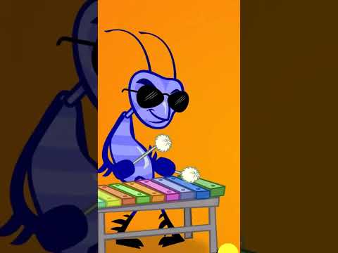 Barata na Careca do vovô #infantil #crianças