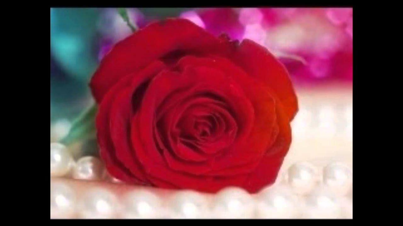 Phoolon Se Zayada Lyrics  | Kaise Kaise Rishte | Rohini Hattangadi, Jamuna | Alka Yagnik, Kumar Sanu | Nadeem Saifi, Shravan Rathod